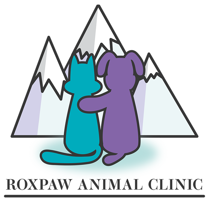 RoxPaw Animal Clinic